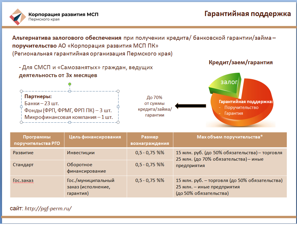 Меры государственной поддержки